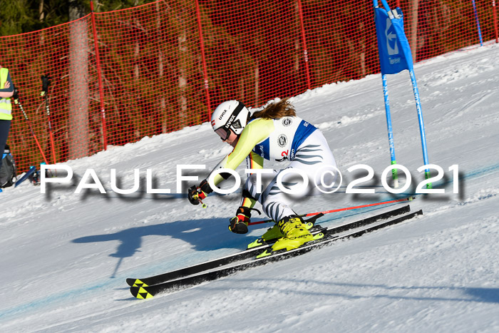 Deutsche Meisterschaft Team PSL Gudiberg 23.03.2019