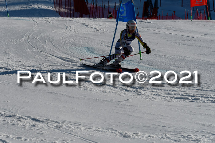 Deutsche Meisterschaft Team PSL Gudiberg 23.03.2019