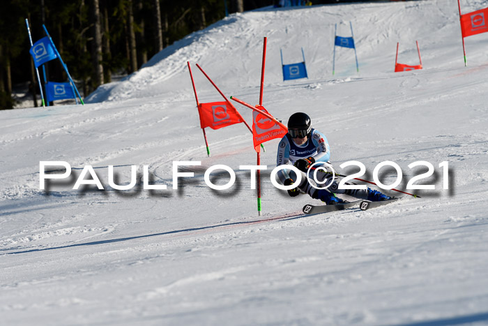 Deutsche Meisterschaft Team PSL Gudiberg 23.03.2019