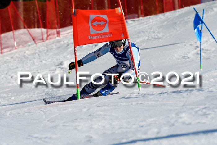 Deutsche Meisterschaft Team PSL Gudiberg 23.03.2019