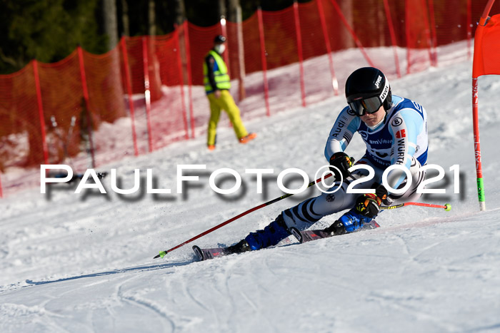 Deutsche Meisterschaft Team PSL Gudiberg 23.03.2019