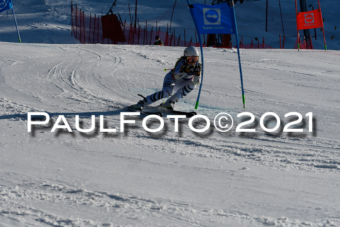 Deutsche Meisterschaft Team PSL Gudiberg 23.03.2019