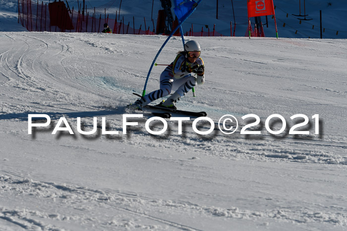 Deutsche Meisterschaft Team PSL Gudiberg 23.03.2019