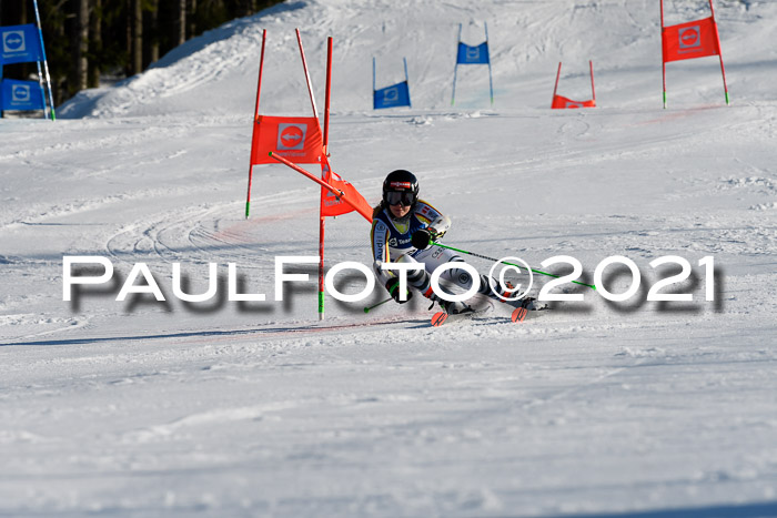 Deutsche Meisterschaft Team PSL Gudiberg 23.03.2019