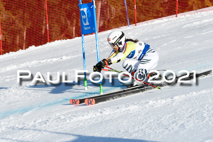 Deutsche Meisterschaft Team PSL Gudiberg 23.03.2019