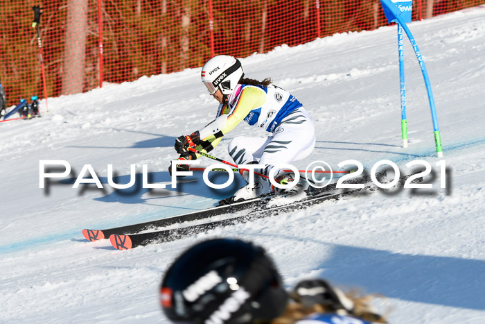 Deutsche Meisterschaft Team PSL Gudiberg 23.03.2019