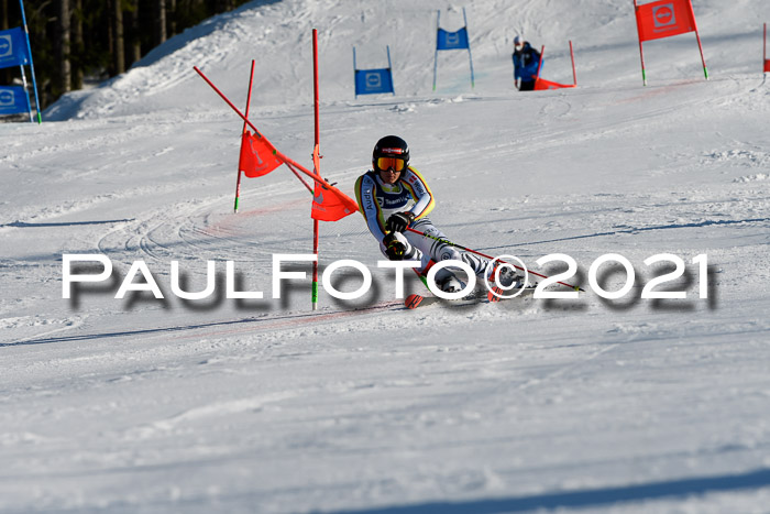 Deutsche Meisterschaft Team PSL Gudiberg 23.03.2019