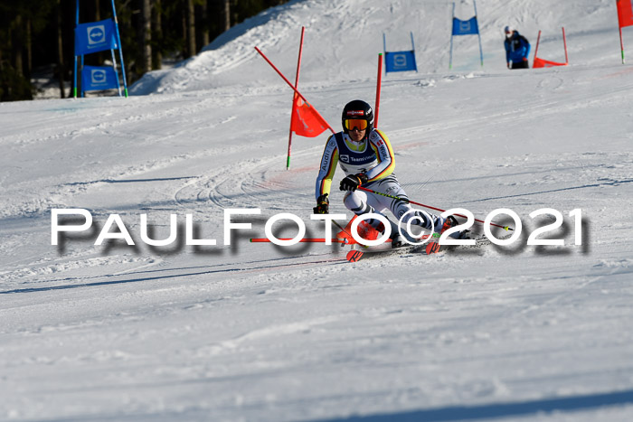 Deutsche Meisterschaft Team PSL Gudiberg 23.03.2019