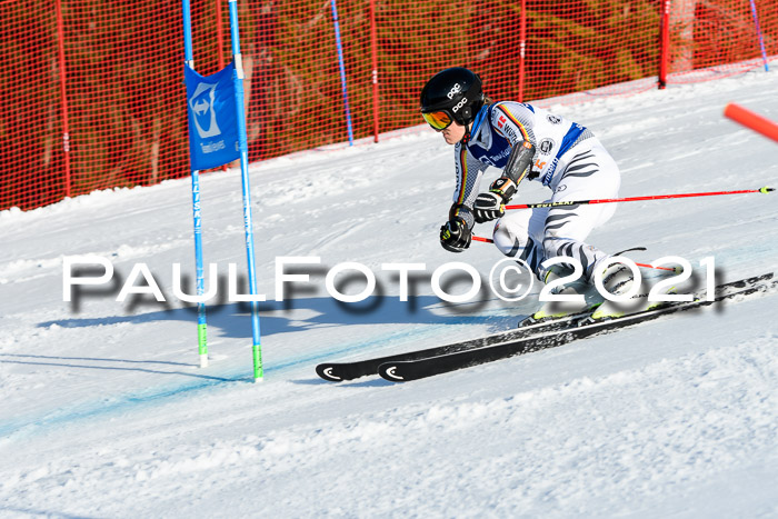 Deutsche Meisterschaft Team PSL Gudiberg 23.03.2019