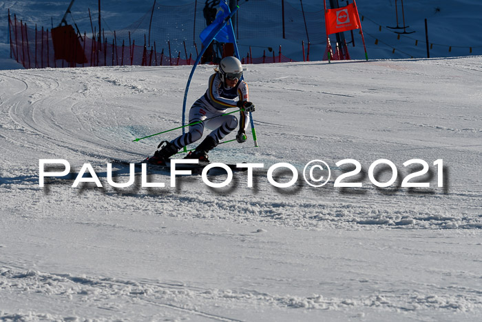 Deutsche Meisterschaft Team PSL Gudiberg 23.03.2019