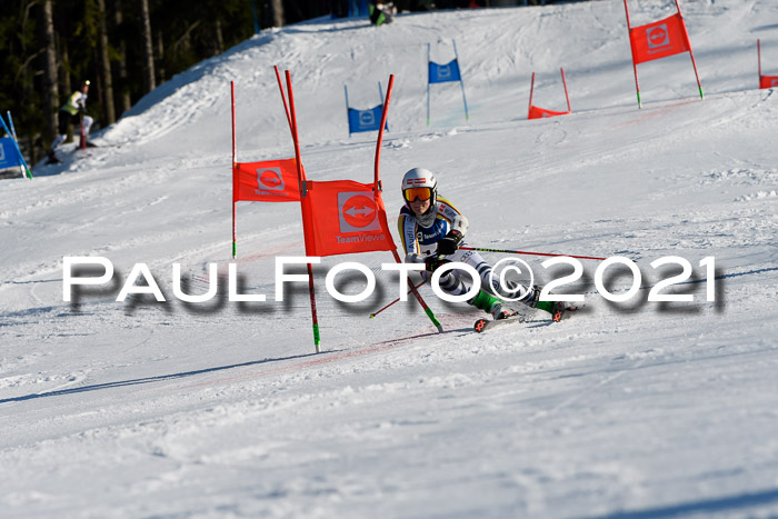 Deutsche Meisterschaft Team PSL Gudiberg 23.03.2019