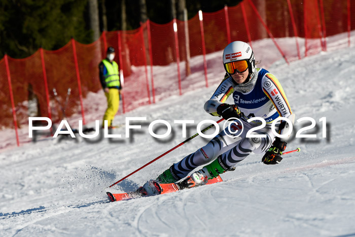 Deutsche Meisterschaft Team PSL Gudiberg 23.03.2019