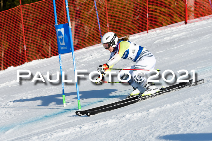 Deutsche Meisterschaft Team PSL Gudiberg 23.03.2019