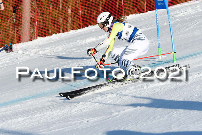 Deutsche Meisterschaft Team PSL Gudiberg 23.03.2019