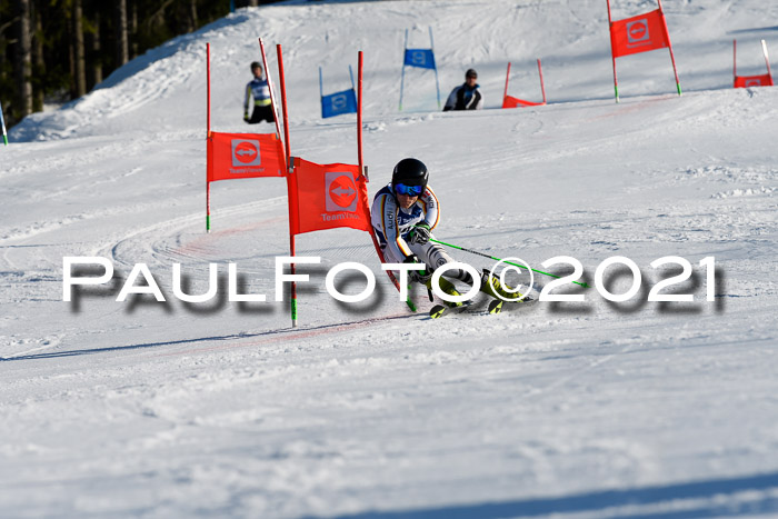 Deutsche Meisterschaft Team PSL Gudiberg 23.03.2019