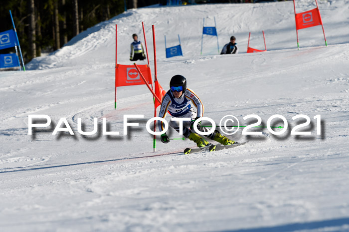 Deutsche Meisterschaft Team PSL Gudiberg 23.03.2019