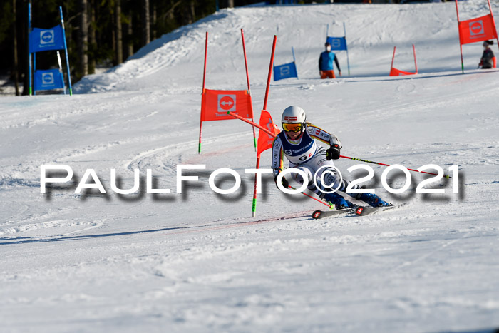 Deutsche Meisterschaft Team PSL Gudiberg 23.03.2019
