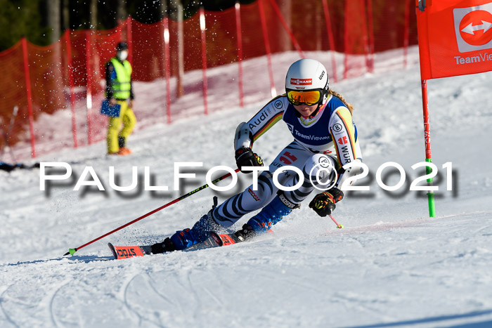Deutsche Meisterschaft Team PSL Gudiberg 23.03.2019