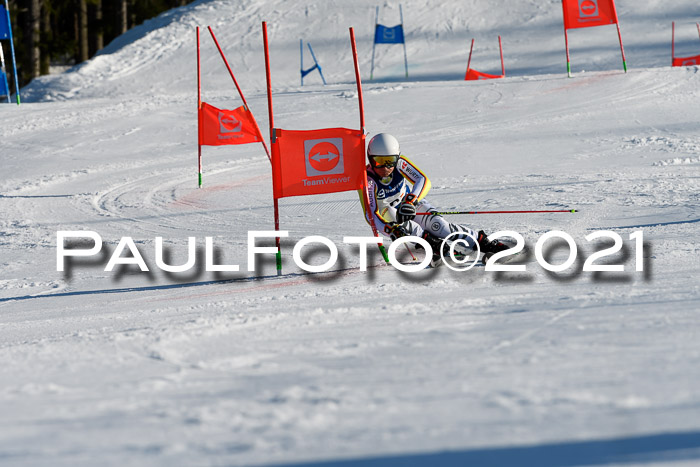 Deutsche Meisterschaft Team PSL Gudiberg 23.03.2019