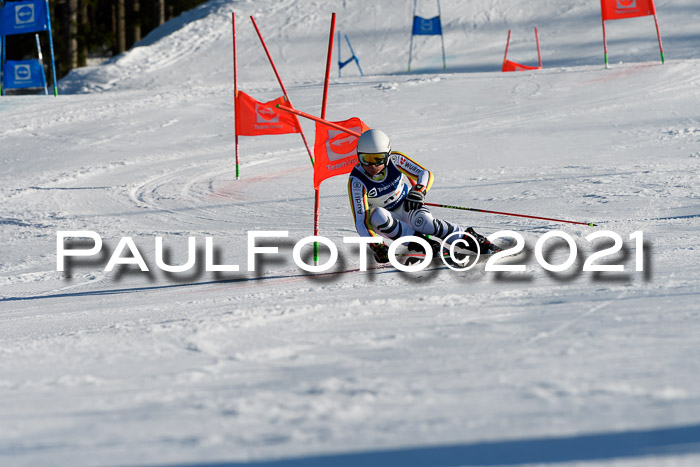 Deutsche Meisterschaft Team PSL Gudiberg 23.03.2019