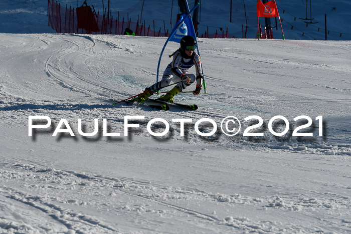 Deutsche Meisterschaft Team PSL Gudiberg 23.03.2019
