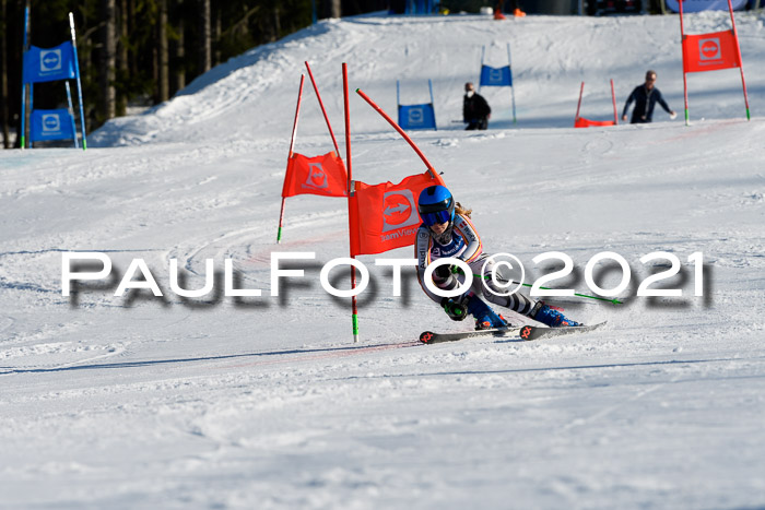 Deutsche Meisterschaft Team PSL Gudiberg 23.03.2019