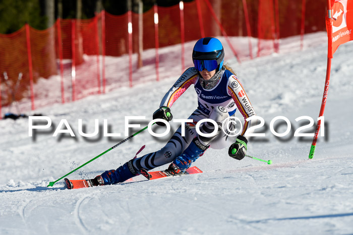 Deutsche Meisterschaft Team PSL Gudiberg 23.03.2019