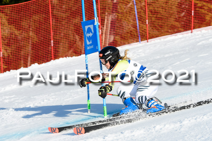 Deutsche Meisterschaft Team PSL Gudiberg 23.03.2019