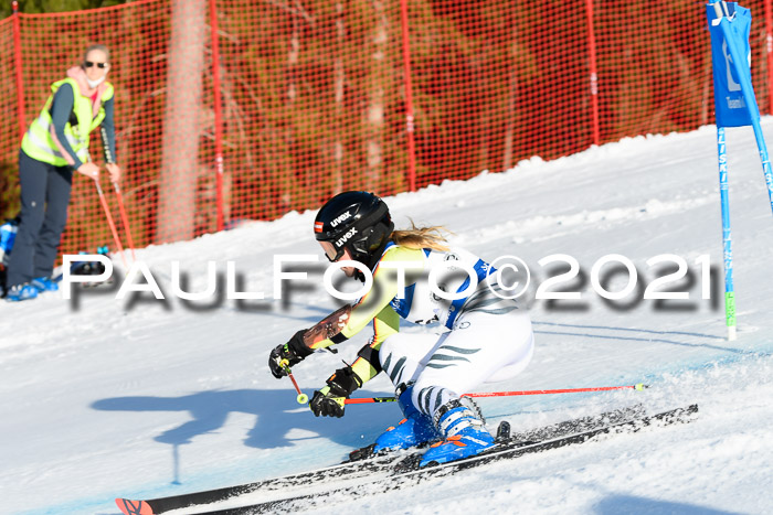 Deutsche Meisterschaft Team PSL Gudiberg 23.03.2019