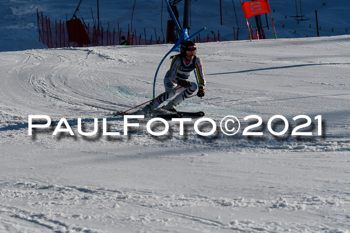 Deutsche Meisterschaft Team PSL Gudiberg 23.03.2019