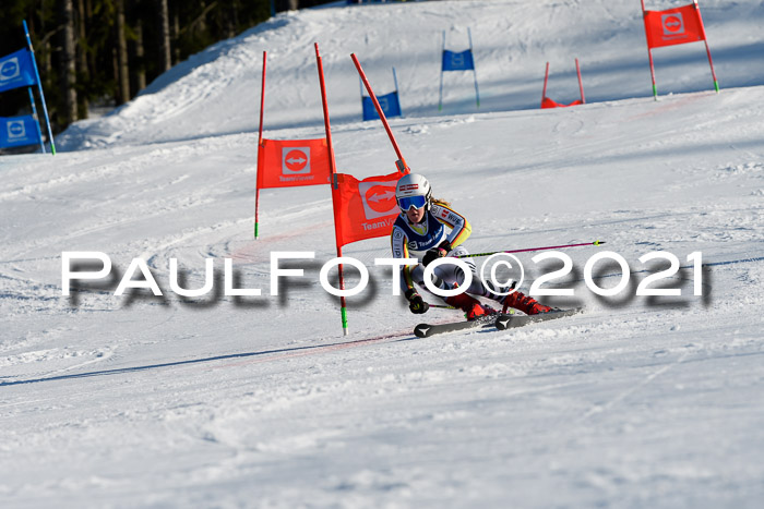 Deutsche Meisterschaft Team PSL Gudiberg 23.03.2019