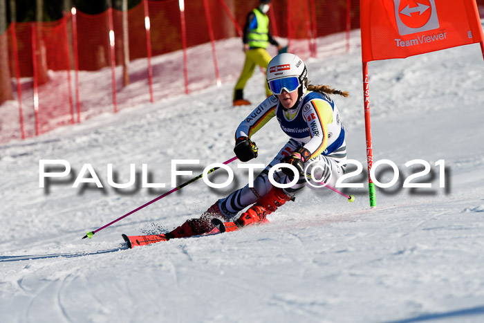 Deutsche Meisterschaft Team PSL Gudiberg 23.03.2019