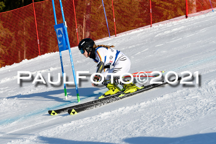 Deutsche Meisterschaft Team PSL Gudiberg 23.03.2019