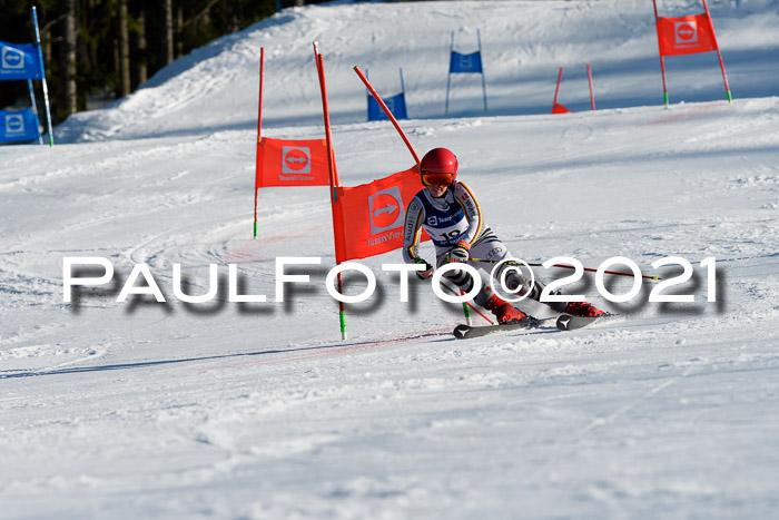Deutsche Meisterschaft Team PSL Gudiberg 23.03.2019