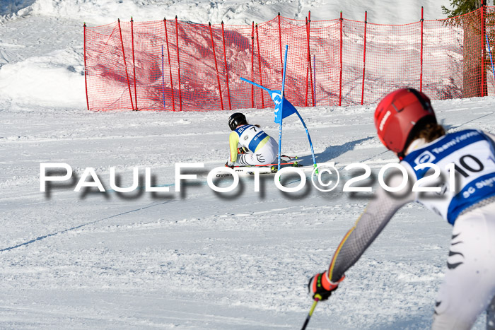 Deutsche Meisterschaft Team PSL Gudiberg 23.03.2019