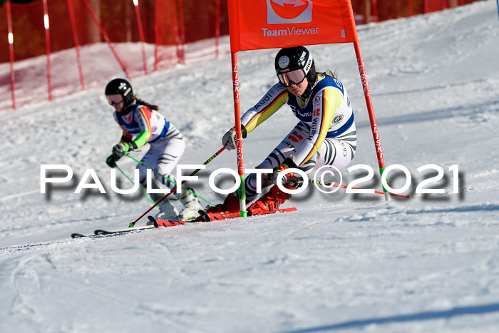 Deutsche Meisterschaft Team PSL Gudiberg 23.03.2019