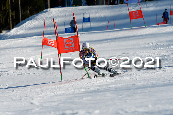 Deutsche Meisterschaft Team PSL Gudiberg 23.03.2019
