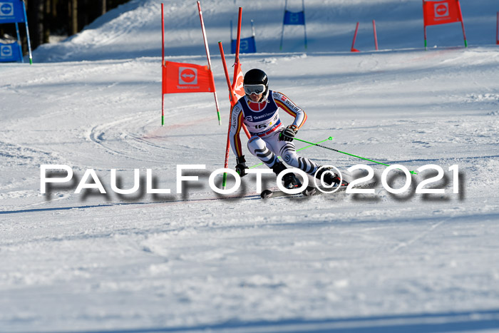 Deutsche Meisterschaft Team PSL Gudiberg 23.03.2019
