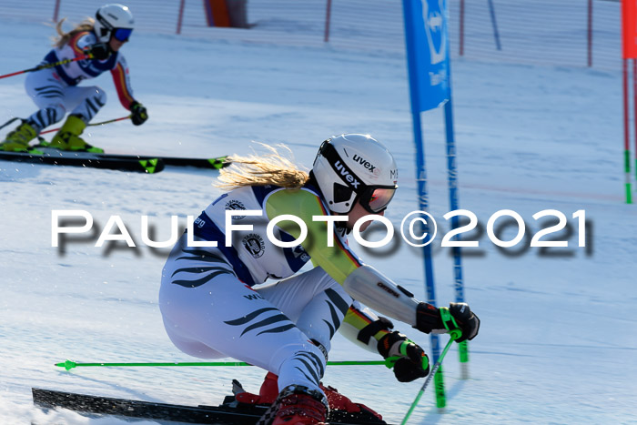 Deutsche Meisterschaft Team PSL Gudiberg 23.03.2019