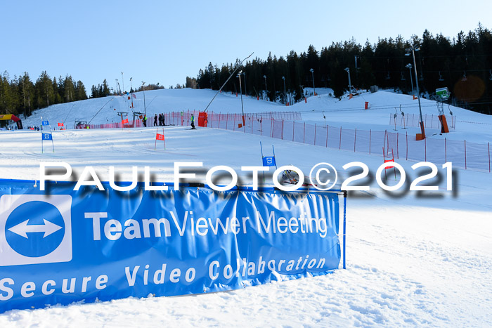 Deutsche Meisterschaft Team PSL Gudiberg 23.03.2019