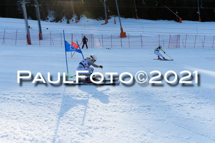 Deutsche Meisterschaft Team PSL Gudiberg 23.03.2019