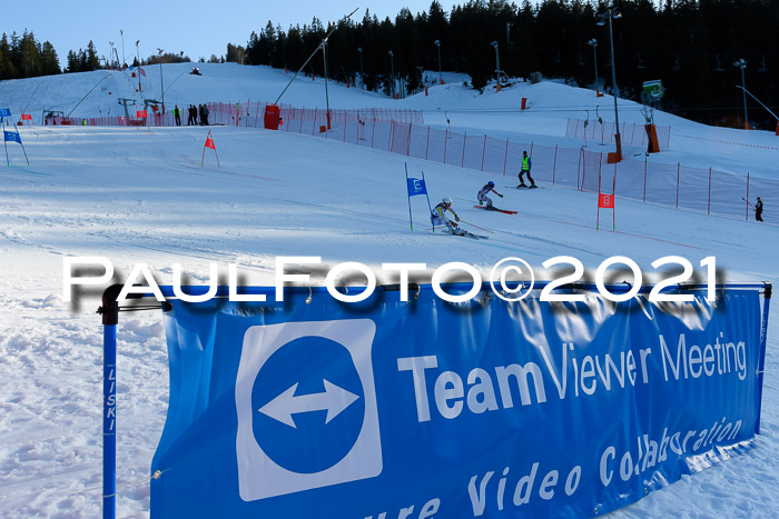 Deutsche Meisterschaft Team PSL Gudiberg 23.03.2019
