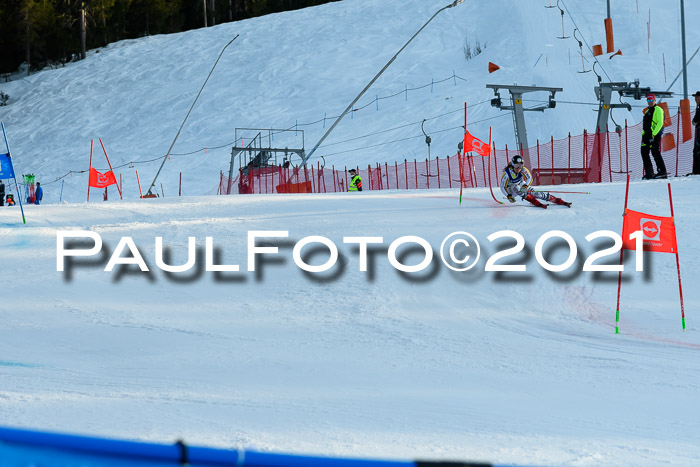 Deutsche Meisterschaft Team PSL Gudiberg 23.03.2019