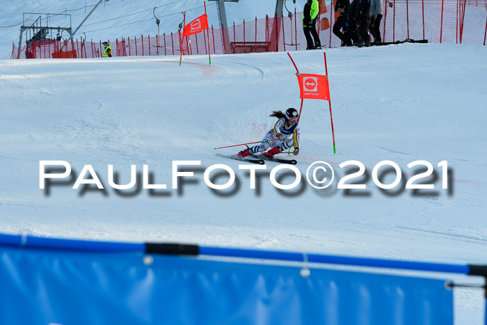 Deutsche Meisterschaft Team PSL Gudiberg 23.03.2019