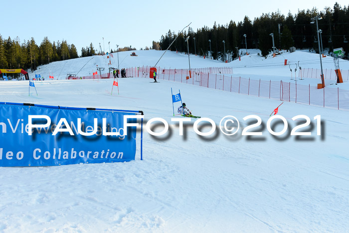 Deutsche Meisterschaft Team PSL Gudiberg 23.03.2019
