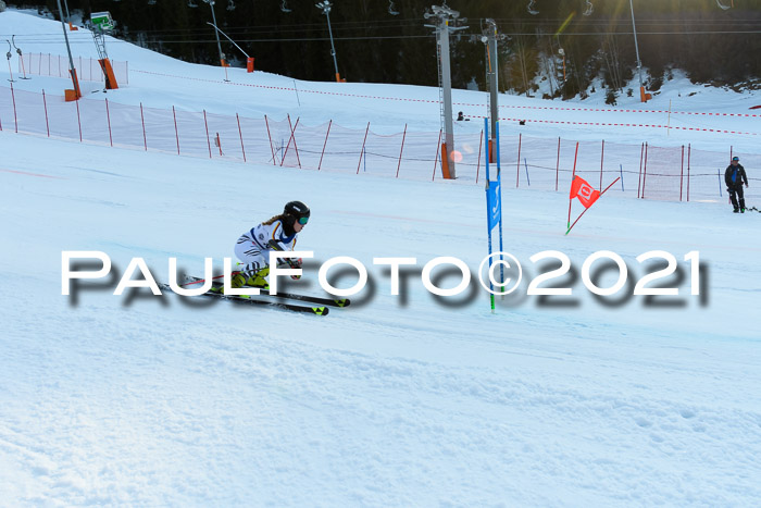 Deutsche Meisterschaft Team PSL Gudiberg 23.03.2019