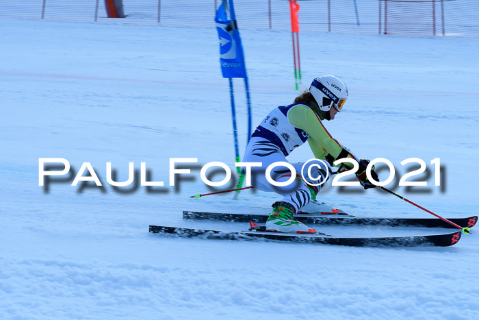 Deutsche Meisterschaft Team PSL Gudiberg 23.03.2019