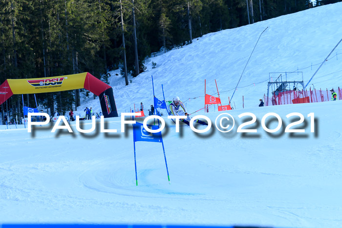 Deutsche Meisterschaft Team PSL Gudiberg 23.03.2019