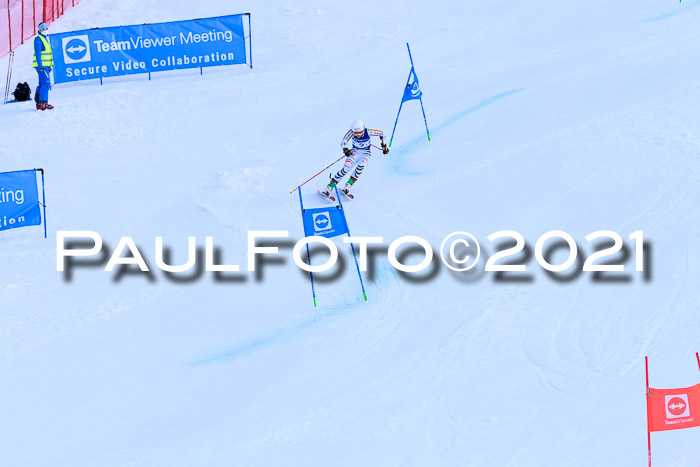 Deutsche Meisterschaft Team PSL Gudiberg 23.03.2019