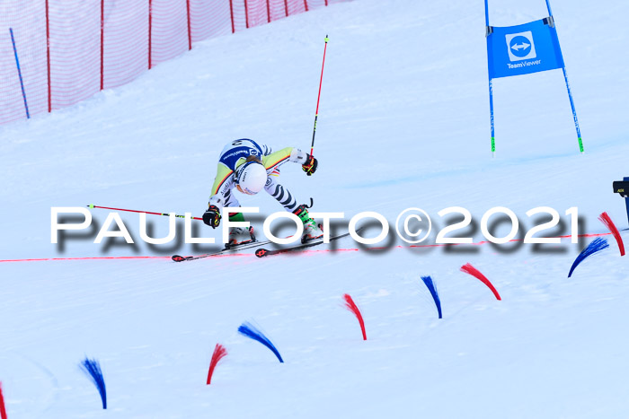 Deutsche Meisterschaft Team PSL Gudiberg 23.03.2019